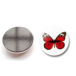 Vue détaillée du motif papillon et de l'arrière magnétique de l'aimant de frigo en verre.