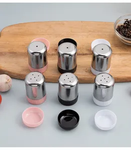 Set de saupoudreuses à épices en acier inoxydable avec base colorée, idéal pour barbecue.