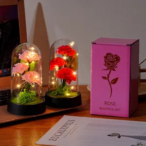 Close-up detail of preserved carnation flowers in glass dome night light with gift box.