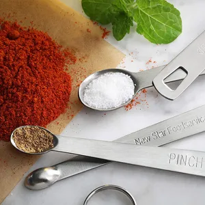 Set 5 mini cucchiai misurini in acciaio inossidabile, utensili da cucina precisi per cucina.