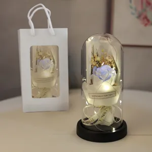 Eternal rose glass dome light with LED fairy lights, romantic gift for Valentine's Day and mother's day.