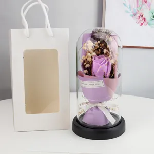 Eternal preserved rose glass dome with string lights and gift bag, perfect romantic gift for women.