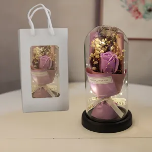 Eternal rose glass dome with LED string lights and gift bag, romantic gift for lovers.
