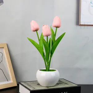 Luz nocturna de tulipan rosa en maceta ceramica blanca, lampara de escritorio bonita.