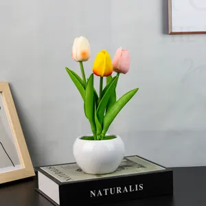 Vista detallada en primer plano de lámpara de tulipán de colores en maceta de cerámica.