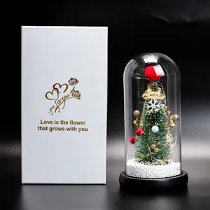 Adorno de árbol de navidad en cúpula de cristal con luces LED y caja de regalo ideal.