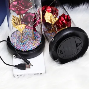 Details of LED glass dome rose flower gift with colorful balls and USB charging base.