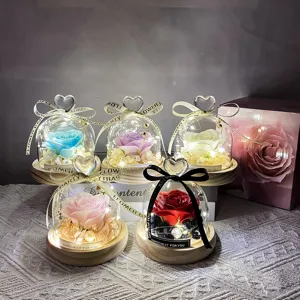 Vista detallada de rosa preservada en cúpula de cristal con luces LED ideal para regalo romántico.
