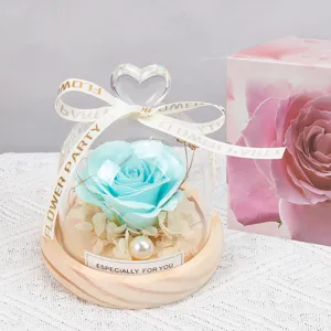 Rosa preservada cúpula de cristal luz LED flor eterna regalo romántico San Valentín