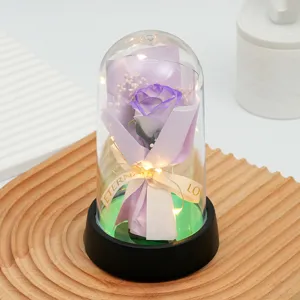 Rose eternelle dôme en verre veilleuse LED cadeau romantique saint valentin deco table