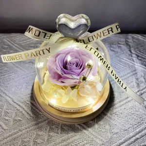 Rosa eterna morada en cúpula de cristal con luces LED asa de corazón y base de madera regalo.