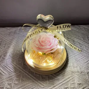 Cúpula de vidrio de rosa preservada con luces LED, regalo romántico de San Valentín.