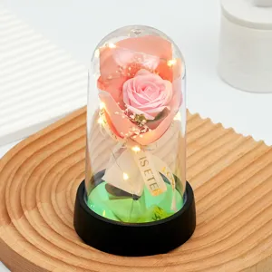 LED rose verre dôme veilleuse cadeau romantique Saint Valentin chambre déco lampe bureau