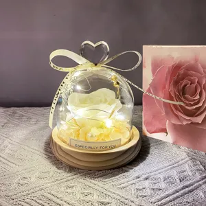 Rosa preservada bajo cúpula de cristal con luces LED regalo romántico para el día de San Valentín.