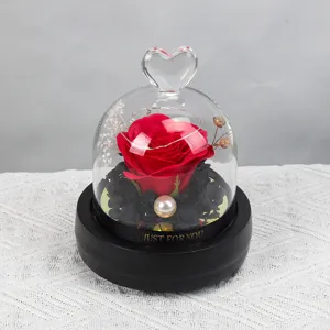 Rosa eterna preservada en cúpula de cristal con luces LED regalo romántico perfecto de san valentín