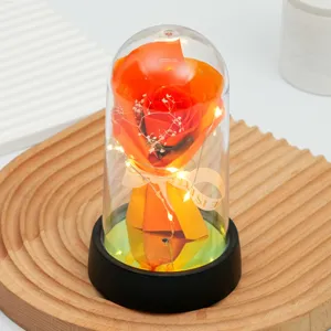 Vue détaillée veilleuse fleur de rose artificielle avec dôme en verre et guirlande LED cadeau