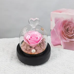 Rosa preservada rosa en cupola de cristal con asa de corazon y luz, hermoso regalo.