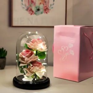 Dettaglio di tre rose di velluto rosa in cupola di vetro con luci LED e borsa regalo