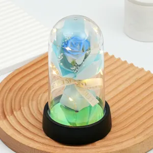 Veilleuse LED dôme en verre rose bleue cadeau romantique Saint-Valentin décoration.