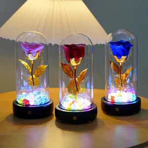Detailansicht von ewigen Rosen in Glaskuppeln mit bunten LED-Kristall-Leuchtsockeln