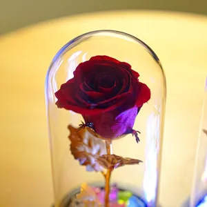 Detailansicht einer konservierten roten Rose in einer Glaskuppel mit LED-Leuchten.