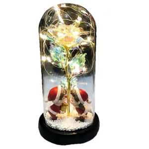 Christmas glass dome rose night light with romantic couple figurines, fairy lights, and base.