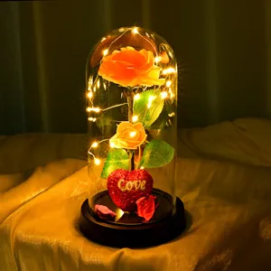 Rosa LED cúpula de cristal flor eterna decoración regalo romántico con cadena de luces cálidas