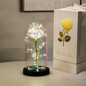 Rose galaxie sous dôme en verre avec guirlande LED et emballage cadeau blanc premium
