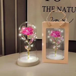 Detailed display of romantic LED glass dome rose light with gift bag for Valentine decor.