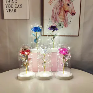 Collezione di vivaci luci notturne a LED con rose in cupole di vetro e eleganti basi bianche