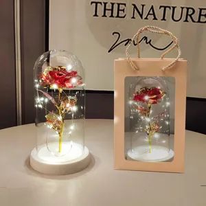 Beautiful LED glass dome rose artificial flower with gift bag for Valentine's Day romantic decor