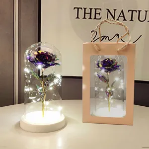 Galaxy gold foil artificial rose flower in glass dome with led lights and gift bag decor.