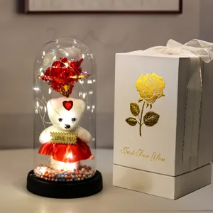 Eeuwige roos teddybeer in glazen stolp met LED verlichting voor romantisch Valentijn cadeau.