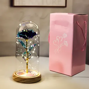 Rosa galassia in cupola di vetro con luci LED e confezione regalo rosa coordinata inclusa