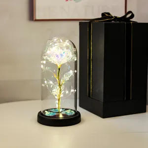 Rose iridescente enchantée sous dôme en verre avec guirlande et boîte cadeau noire