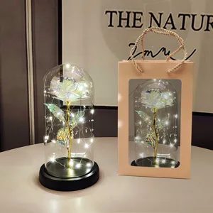 Detail shot of romantic galaxy rose in glass dome with LED fairy lights and matching gift bag.