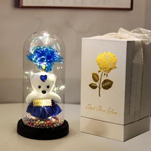 Eeuwige roos teddybeer glazen koepel met LED sfeerverlichting en mooie geschenkdoos voor cadeau.