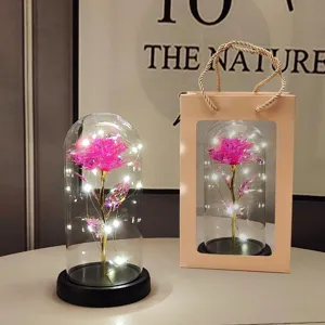 LED glass rose dome light with gift bag, perfect romantic valentine gift and home decor.