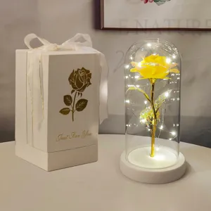 Luce notturna rosa LED in cupola vetro con scatola regalo bianca, regalo romantico di San Valentino