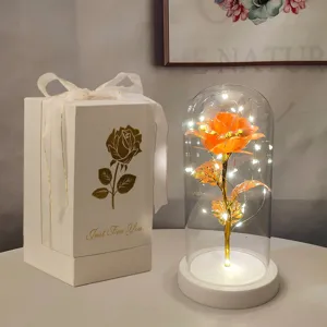 Rosa arancione illuminata in cupola di vetro con elegante confezione regalo bianca