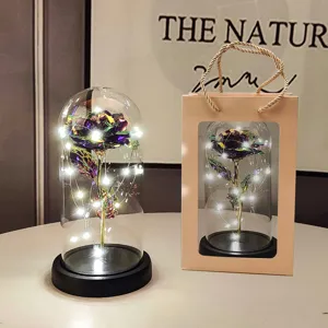 Galaxy gold foil rose flower in glass dome with led lights and gift bag for romantic gifts.