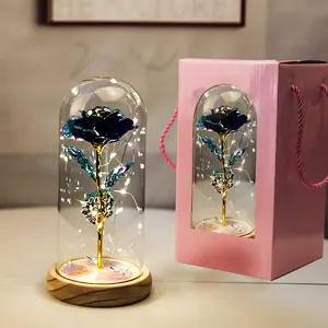 Rosa galassia in cupola di vetro con luci LED e confezione regalo rosa