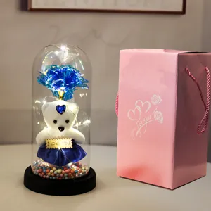 Eeuwige rozenbeer glazen koepel met LED verlichting en geschenkdoos voor romantisch cadeau