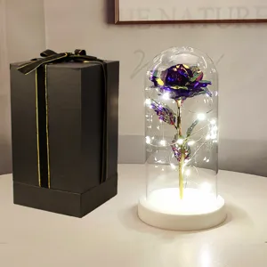 Rosa eterna in cupola di vetro con luci LED e scatola regalo per San Valentino