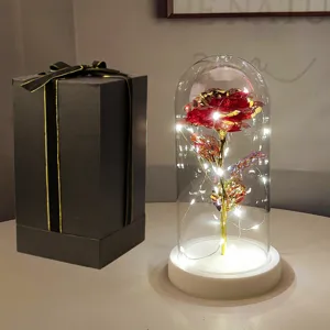 Rosa eterna in cupola di vetro con luci LED e confezione regalo elegante per San Valentino