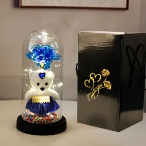 LED glazen koepel eeuwige roos en schattige teddybeer cadeauset voor Valentijnsdag