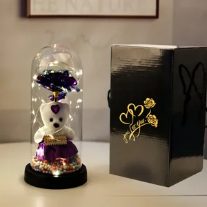 Eeuwige roos teddybeer in glazen stolp met LED verlichting en mooie geschenkdoos cadeau