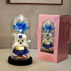 Glazen koepel met rozenbeer en LED verlichting en roze cadeautas voor Valentijnsdag geschenk