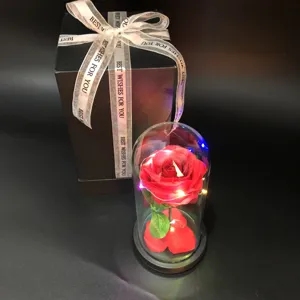 Preserved red rose in glass dome with warm LED string lights and premium black gift box