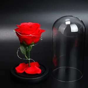 Close-up detail of red artificial rose with LED fairy lights and a separate glass dome.